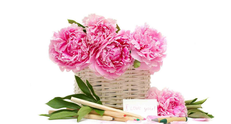 Servizio Faxiflora - Consegna Fiori in tutto il mondo